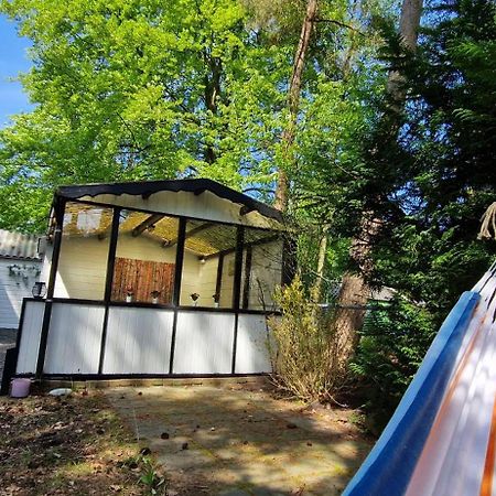 "Dennenhuisje" Op Bospark Ijsselheide Hattemerbroek 외부 사진