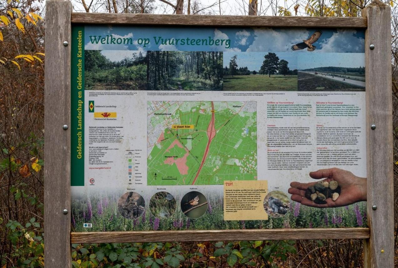 "Dennenhuisje" Op Bospark Ijsselheide Hattemerbroek 외부 사진