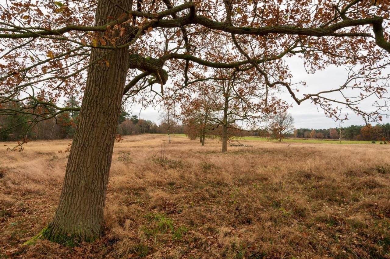 "Dennenhuisje" Op Bospark Ijsselheide Hattemerbroek 외부 사진